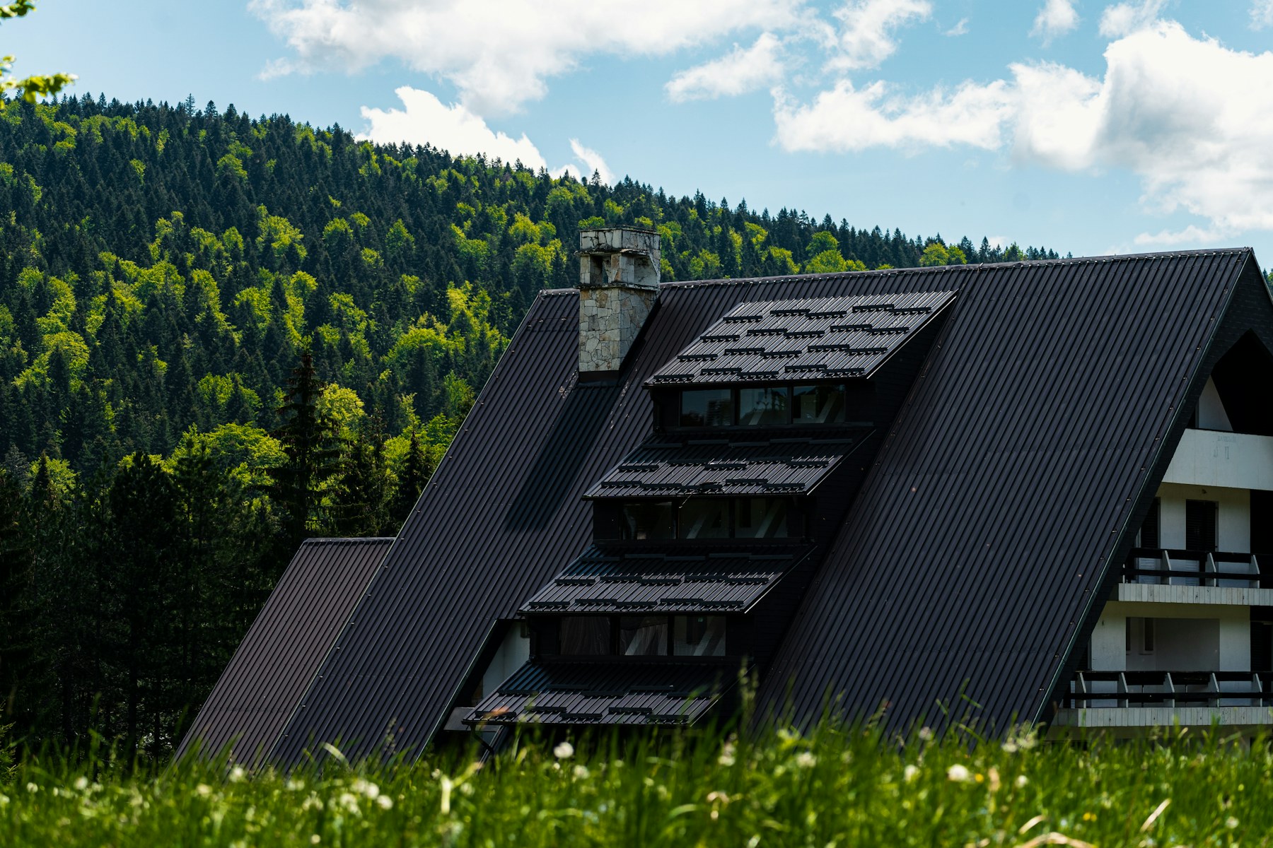Dark pitched metal roof on a timber home surrounded by evergreen trees